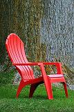 Red Plastic Muskoka Chair_DSCF01291